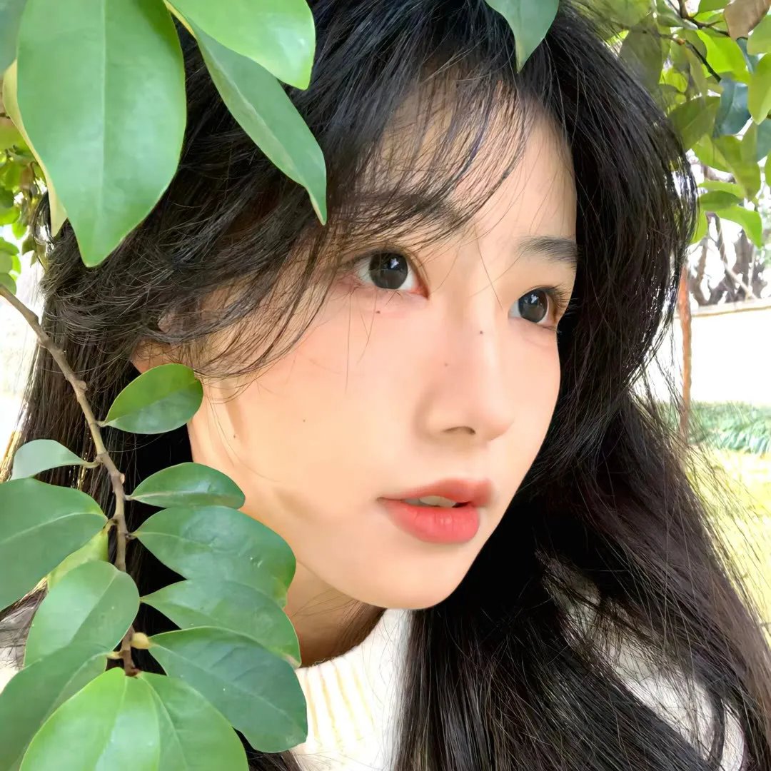 美人谋